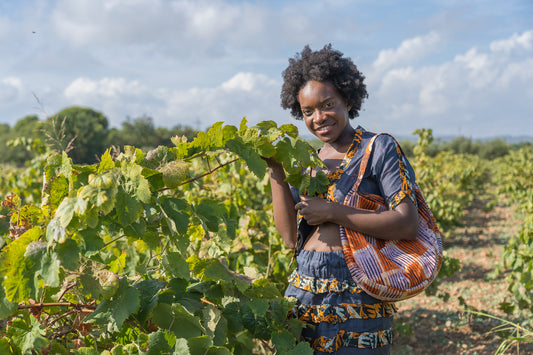 Conjunto de top, chaqueta de manga corta y falda con detalles